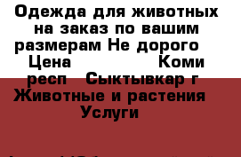 Одежда для животных на заказ по вашим размерам.Не дорого. › Цена ­ 500-1000 - Коми респ., Сыктывкар г. Животные и растения » Услуги   